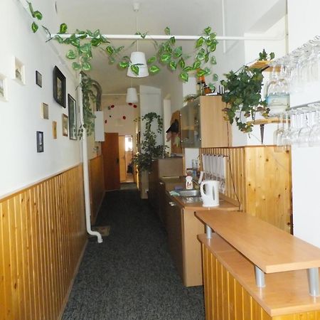 Ubytovani U Kovare Usti nad Labem Ngoại thất bức ảnh